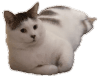 Murphie