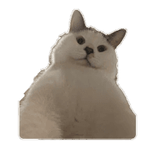 Murphie